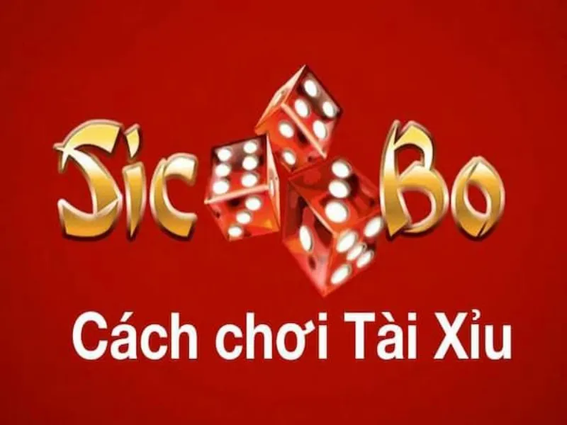 Cách chơi game tài xỉu 