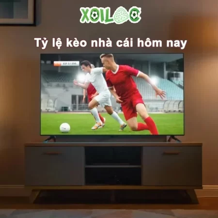 Kèo Nhà Cái TV Lưu Ý Khi Tham Gia Năm 2024