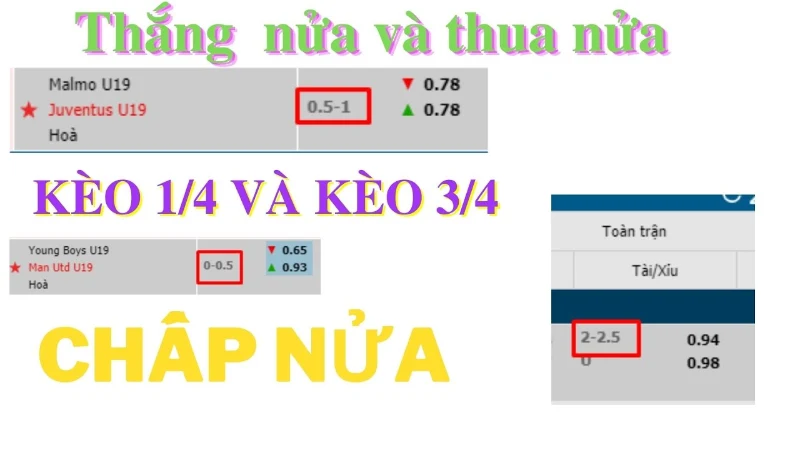 Một số tỷ lệ cá cược phổ biến trên thị trường