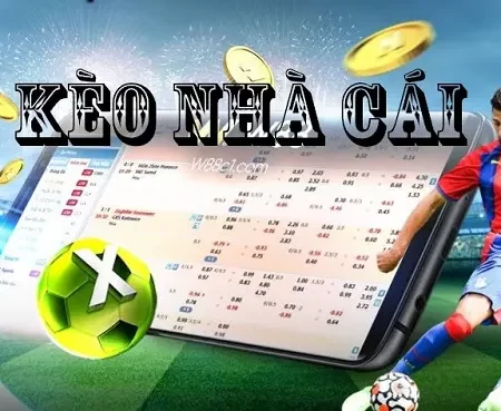 Cách đọc bảng xem kèo nhà cái dành cho người bắt đầu 2024