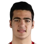 Mikel Merino