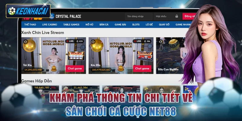Khám phá thông tin chi tiết về sân chơi cá cược NET88